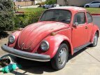 Thumbnail Photo 0 for 1974 Volkswagen Beetle Coupe